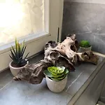 Exklusives Relax لبسيا