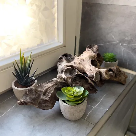 Exklusives Relax Leipzig