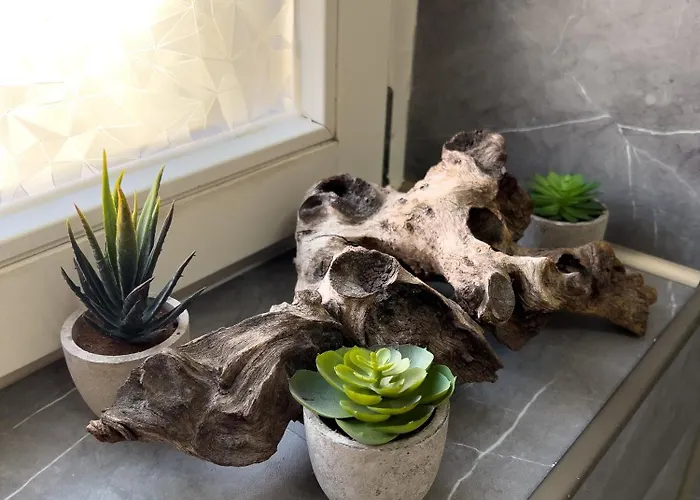 Exklusives Relax لبسيا